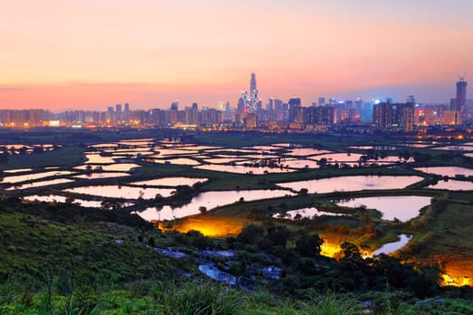 hong kong countryside sunset, rice field and modern office buildings