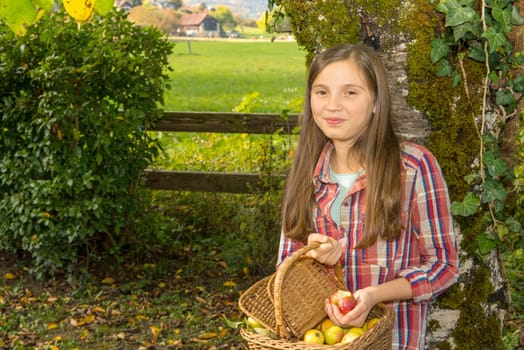 young pre teen girl picking apples in the garden