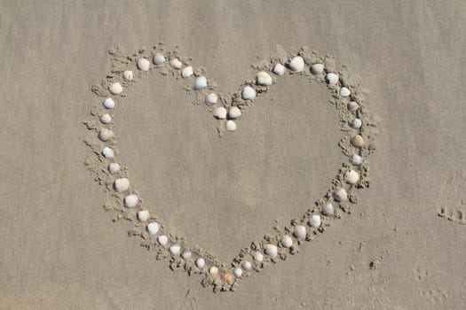 A heart formed from mussel shells.