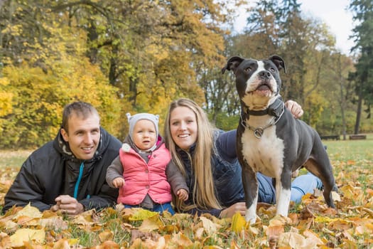 Smiling young parents with their baby daughter and the American staffordshire terrier are lying on the ground in a beautiful autumn park