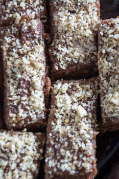 Close up of chocolate cake with walnut cut into squares
