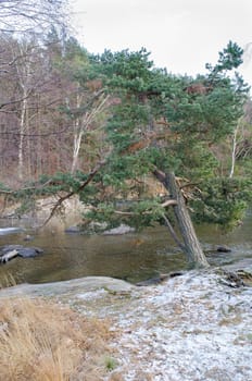 Sisjon one little lake in sweden and some snow has come