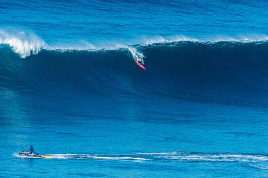 NAZARE, PORTUGAL - DECEMBER 20, 2016: Nic von Rupp (PRT) during the Nazare Challenge 2016 - Big Wave Tour #3 at Praia do Norte - Nazare, Portugal.