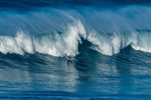 NAZARE, PORTUGAL - DECEMBER 20, 2016: Nic von Rupp (PRT) during the Nazare Challenge 2016 - Big Wave Tour #3 at Praia do Norte - Nazare, Portugal.