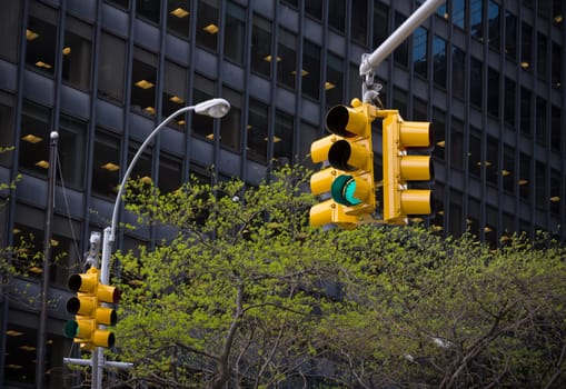 typical yellow traffic lights in new york city