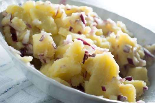 Potato salad with onions  (Selective Focus, Focus one third into the bowl)