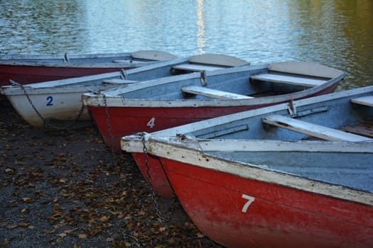 Red -White Wood - Canoe - Boats lie on the shore of a lake in the evening light