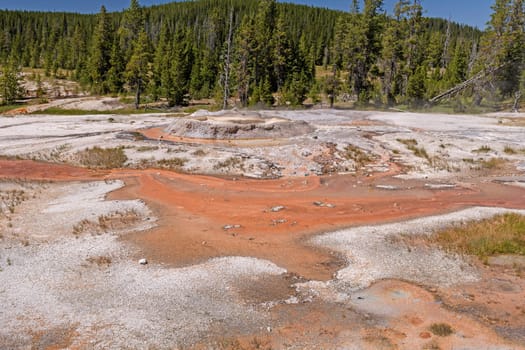 Geyser Cone in the Wilds of the Shoshone Basin in Yellowstone National Park in Wyoming