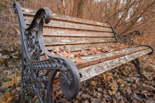 Bench in the Park in autumn season