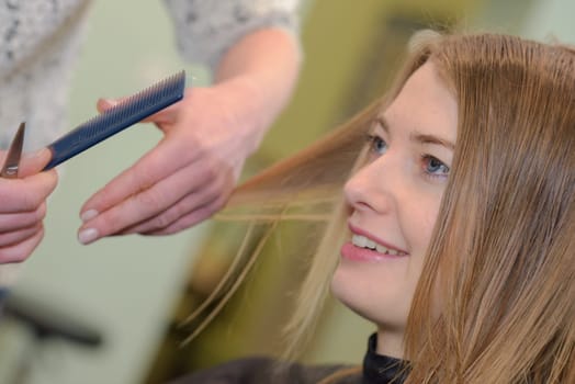 woman haircut at the salon