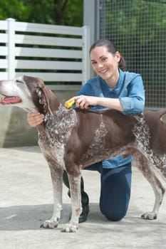 female vet stroking dog at animal shelter