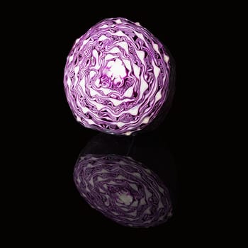 Scotch kale or purple cabbage isolated on a black glossy background with real reflection