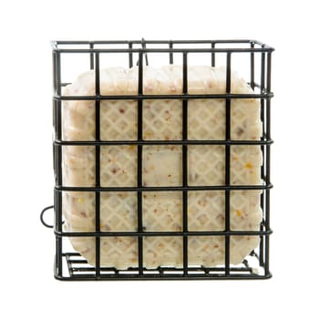 Isolated bird feeder filled with fat and suet rich in calories