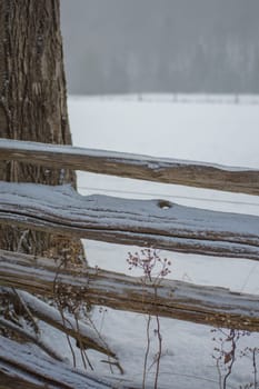 Wintery background of a split rail cedar fence with a sprinkle of snow and tree trunk close up.