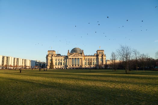 Bundestag and flock of birds in Berlin in winter