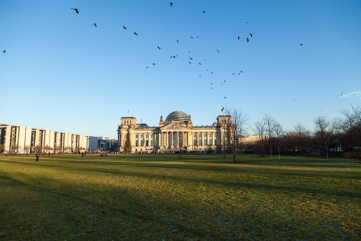 Bundestag and flock of birds in Berlin in winter