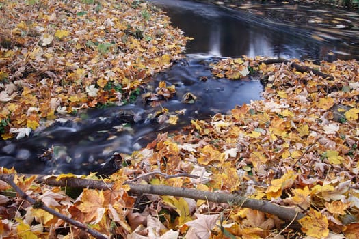 Abstract image stream and autumn leaves - long exposure