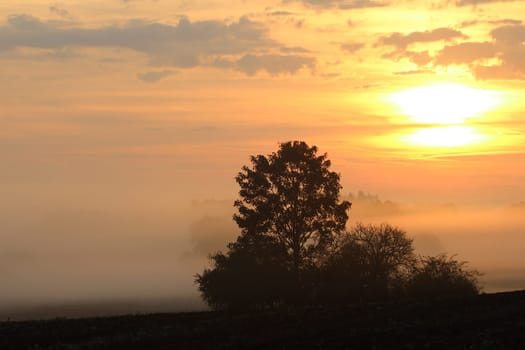 Image of the early morning sun over the rural countryside