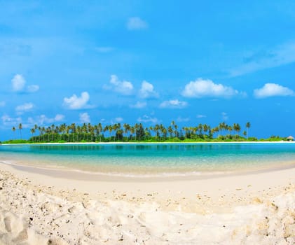 tropical beach in Maldives with few palm trees and blue lagoon
