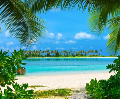 tropical beach in Maldives with few palm trees and blue lagoon