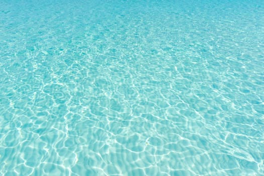 Tranquil underwater scene with copy space..