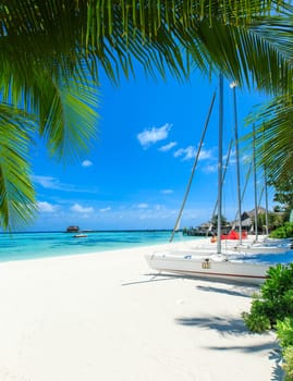beautiful beach and tropical sea