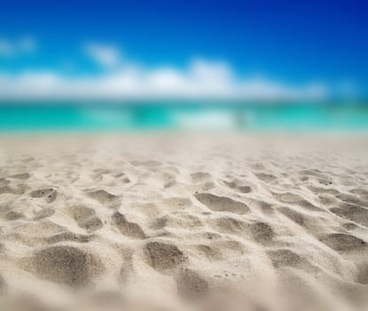 beautiful beach and tropical sea