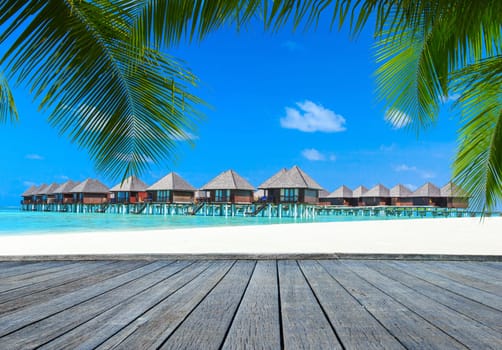 beautiful beach and tropical sea