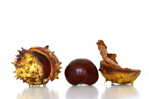three chestnuts