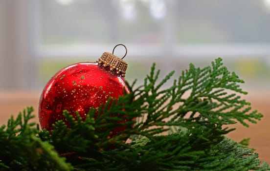 Fir Tree Ball