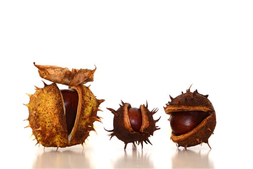 three chestnuts