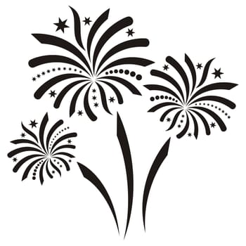 Beautiful black vector firework isolated on white background