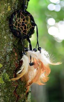 Dream Catcher