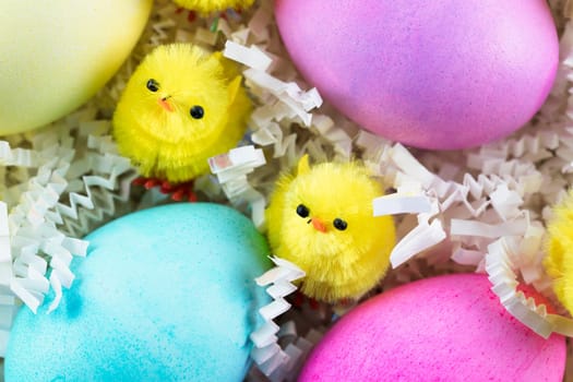Two Chenille chicks and colorful Easter eggs.