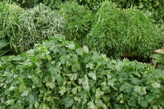 Fresh garden herbs