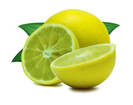 a lemon close up on white background