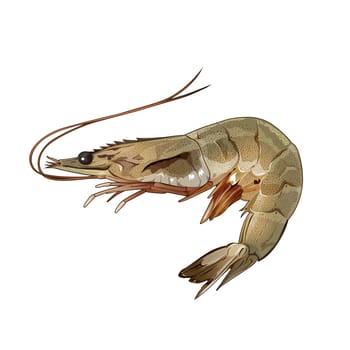 Seafood, isolated raster illustration on white background
