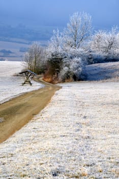 Winter