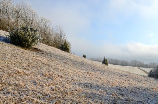 Winter