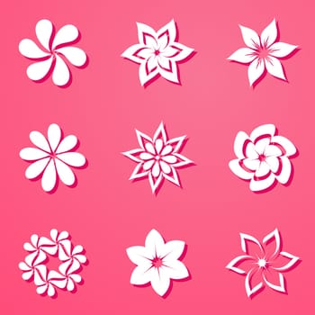 Set of beautiful white flowers on pink background