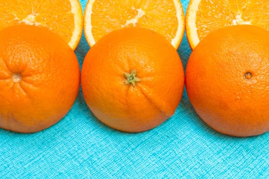 Orange and lemon citrus fruit pattern on light blue background