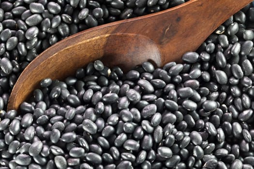 Wooden spoon in dried black beans