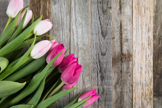 Pink and purple tulips on wooden background with copy space.