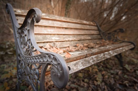 Bench in the Park in autumn season