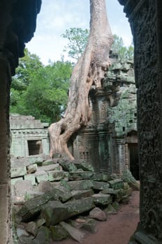 View of a Angkor temple ruin through an entrance gateway, with views of the tree roots growing on the structure