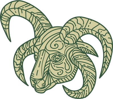 Mono line style illustration of Manx Loaghtan, a breed of sheep (Ovis aries) native to the Isle of Man head with four horns set on isolated white background.