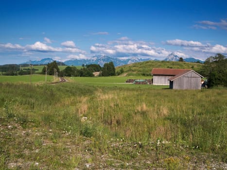 Summery view over a meadow in the Allgäu near the town of Füssen with barn in the middle ground and Alps in the background with blue sky with small white clouds.
