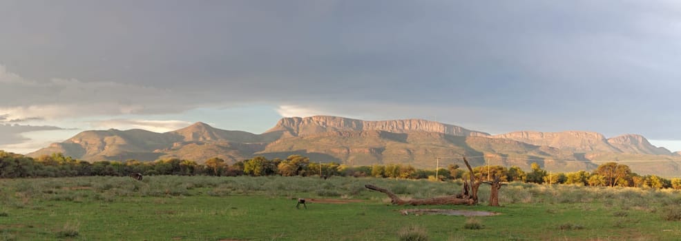 Panoramic view of a mountain range in Marakele National Park, South Africa