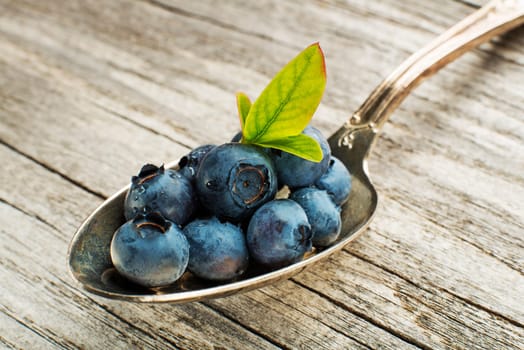 Fresh blueberries with green leaves on spoon