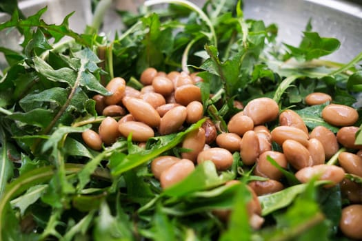 Fresh salad with dandelions and beans close up